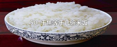 ​一千焦等于多少米饭 100千焦等于多少米饭