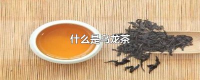 ​哪种茶属于乌龙茶系列 哪一种茶属于乌龙茶