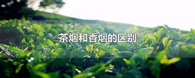 ​茶烟跟香烟哪个危害比较大 茶烟和香烟到底哪个危害大