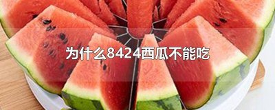 ​8424有无籽西瓜吗 8424西瓜是不是无籽西瓜