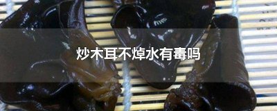 ​炒木耳不焯水可以吗 炒木耳不焯水行吗