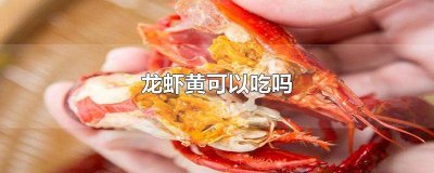 ​龙虾黄可以吃不 龙虾的黄能吃