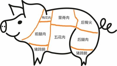 ​一张图看懂不同部位猪肉