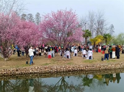 ​三八女神节，仙桃梦里水乡送出“专属女王福利”