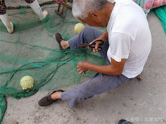 渔网恢恢，疏而不漏？原来渔民是这样补网拼网的