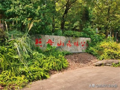 ​好山好水好风景：重庆照母山森林公园（线路攻略指南）