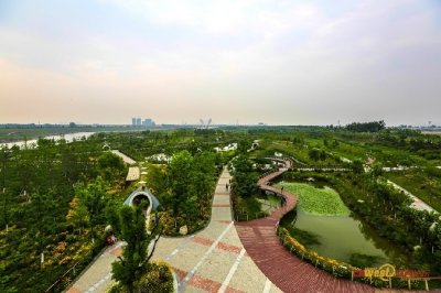 给你一个清凉的夏天 西咸沣东新城沣河湿地公园