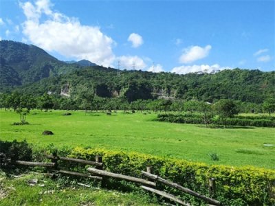 台湾阿里山:气候凉爽、环境优美的山地旅游胜地,值得一去