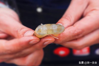 去虾线、还在用牙签太老套了!老渔民教你1招,分分钟剥完一大盆