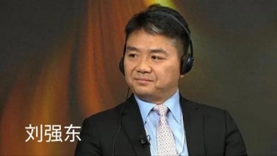 刘强东财富跳水,2024胡润全球富豪榜上仅剩495亿,能重回巅峰吗