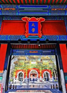 汉朝的文化辉煌:太学的扩建与教育的兴起