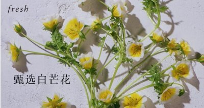 馥蕾诗是哪个档次(馥蕾诗这个品牌的化妆品怎么样)