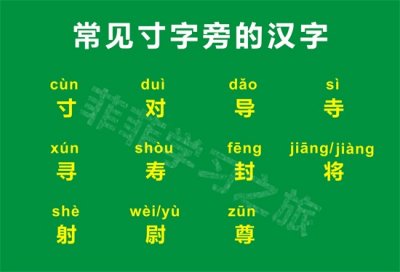 寸字旁的字有哪些(一年级偏旁部首寸字旁,一年级寸字旁的汉字)