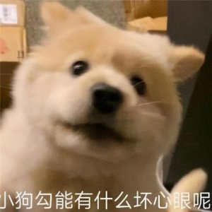 适合跟男朋友撒娇的甜甜表情包来啦