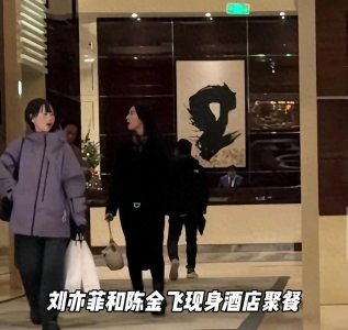 被造谣22年的刘亦菲,和“干爹”陈金飞聚餐,同框不避嫌很坦然