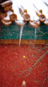 推荐收藏 | 中国最适合跨年的10大旅游目的地!