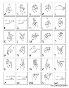 中国手语基础教程。请收藏我吧
