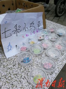 美颜彩龟街头热卖 市民购买须注意