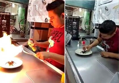 真正黑暗料理!墨西哥一餐厅用狼蛛做卷饼