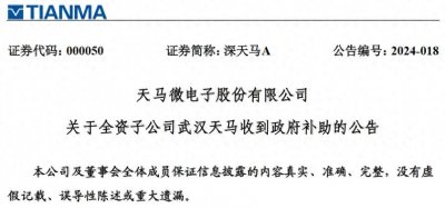 武汉天马微电子有限公司收到政府补助1亿元