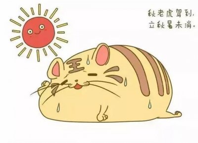 “秋老虎”小科普