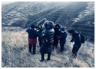 刷屏的《啥是佩奇》背后,是一场中国式情绪的软着陆