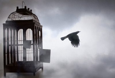 在变革中呵护永恒——保守主义八原则