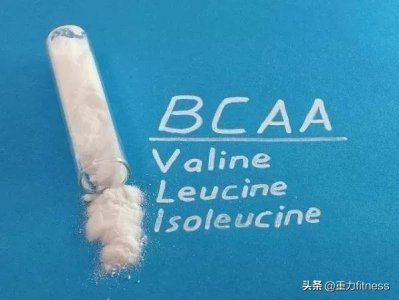 健身营养补剂篇:支链氨基酸(BCAA) 防止肌肉流失?
