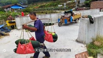 一年只需干三个月,就可收入16万,刨去一切成本净赚10万元