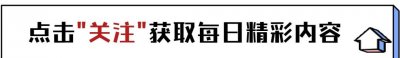 黄圣依:从家庭阻碍到影视殿堂,她的坚韧与光芒