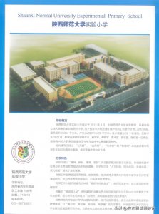 陕师大实验小学幼升小攻略:招生、学费、实力全解析