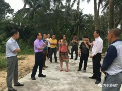 杨志斌、陈月花到山根镇调研美丽乡村建设