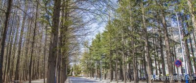 全国二本大学所有名单!附最好大学排名榜及文理科分数