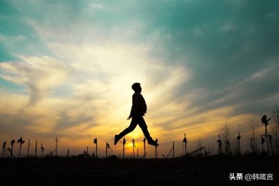 画图讲保险—草帽图的介绍及应用场景