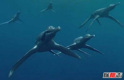 海洋十大霸主排名