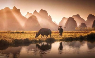 大门口外栽什么树好(大门外栽什么树最吉利)