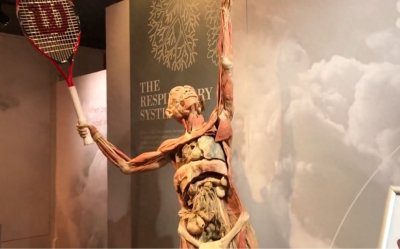 什么是大体老师?医学和科普用的大体老师,是如何制作出来的?