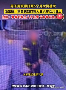 后续,持铲打狗男子女儿遭到爱狗人士骚扰:你爸爸是好人吗