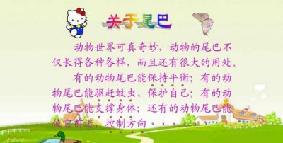 尾巴的作用,你还知道哪些动物尾巴的作用?