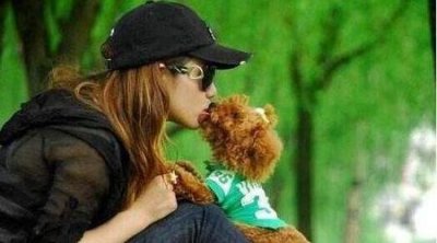 女孩子养泰迪公的好?还是母的好(公犬绝育手术详解)