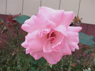 二十四节气歌,每个季节六个节气