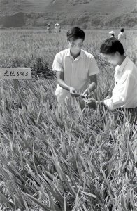 儿媳妇嫌我做饭太咸,送我去养老院,一场大病后她主动把我接回家