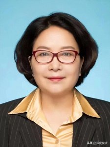 从三尺讲台到卫健"黑手":陕西刘宝琴千万医疗资金谜案