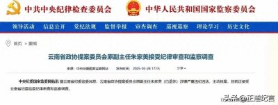 65岁退休厅官朱家美投案:反腐天网下,无处可逃!